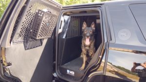 K-9 Flaco in his new cruiser kennel. (Courtesy Photo)