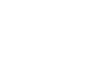 Guilfoil_Logo_White