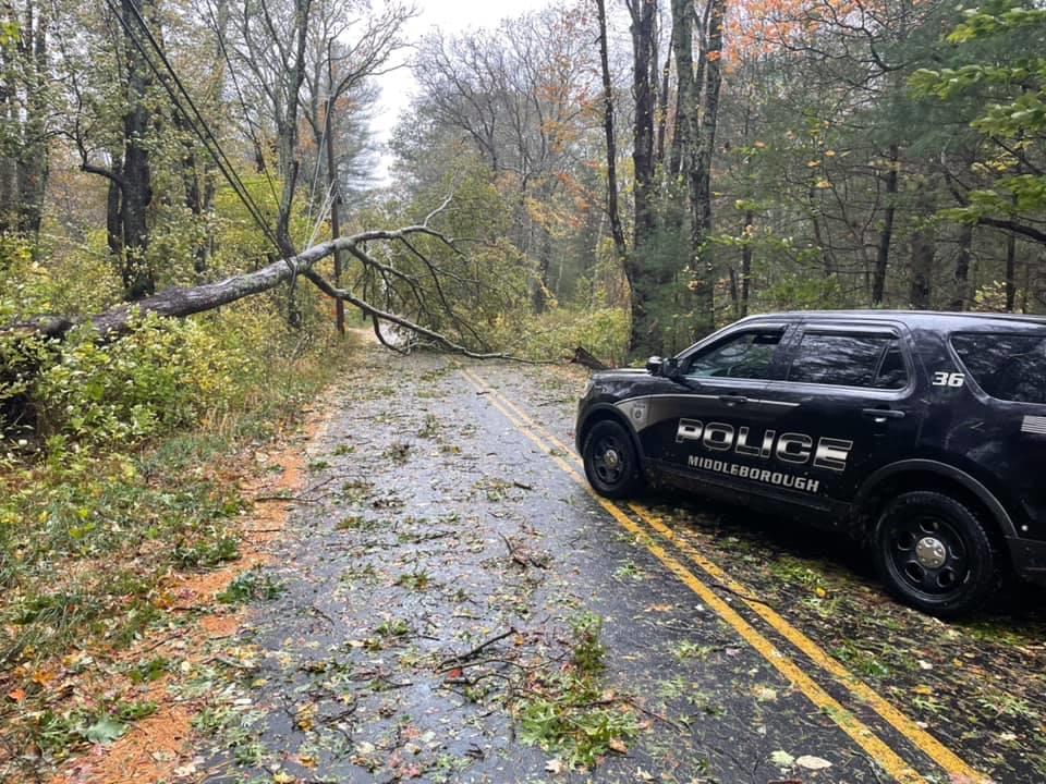 Crews work on power outages, downed trees after nor'easter