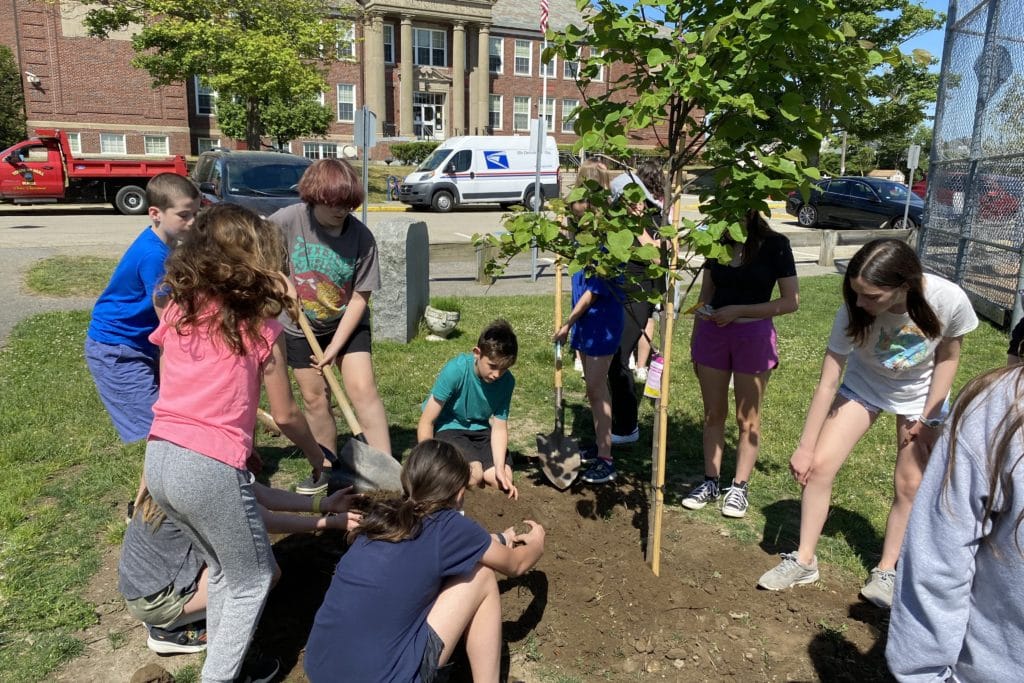 Students at Hull’s Memorial Middle School Replace Fallen Tree Through ...