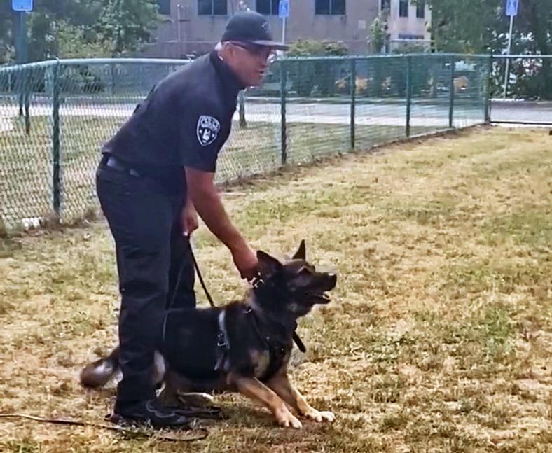 The 9 Week Strength and Conditioning Program for Law Enforcement